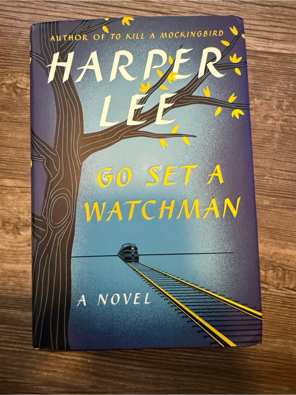 Go Set A Watchman Book